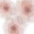 Blush Pink Roses Floral Art Print